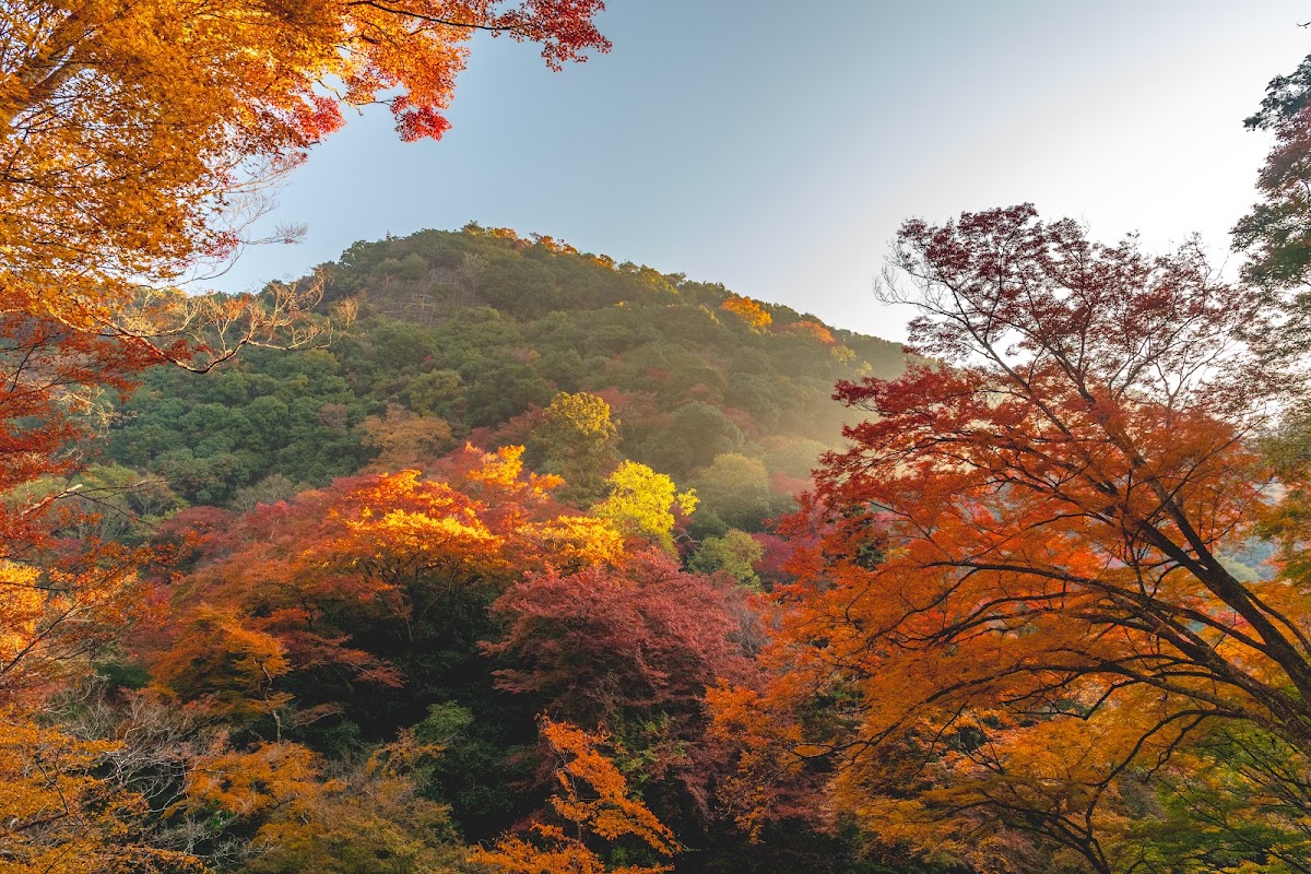 Minoh Park 4