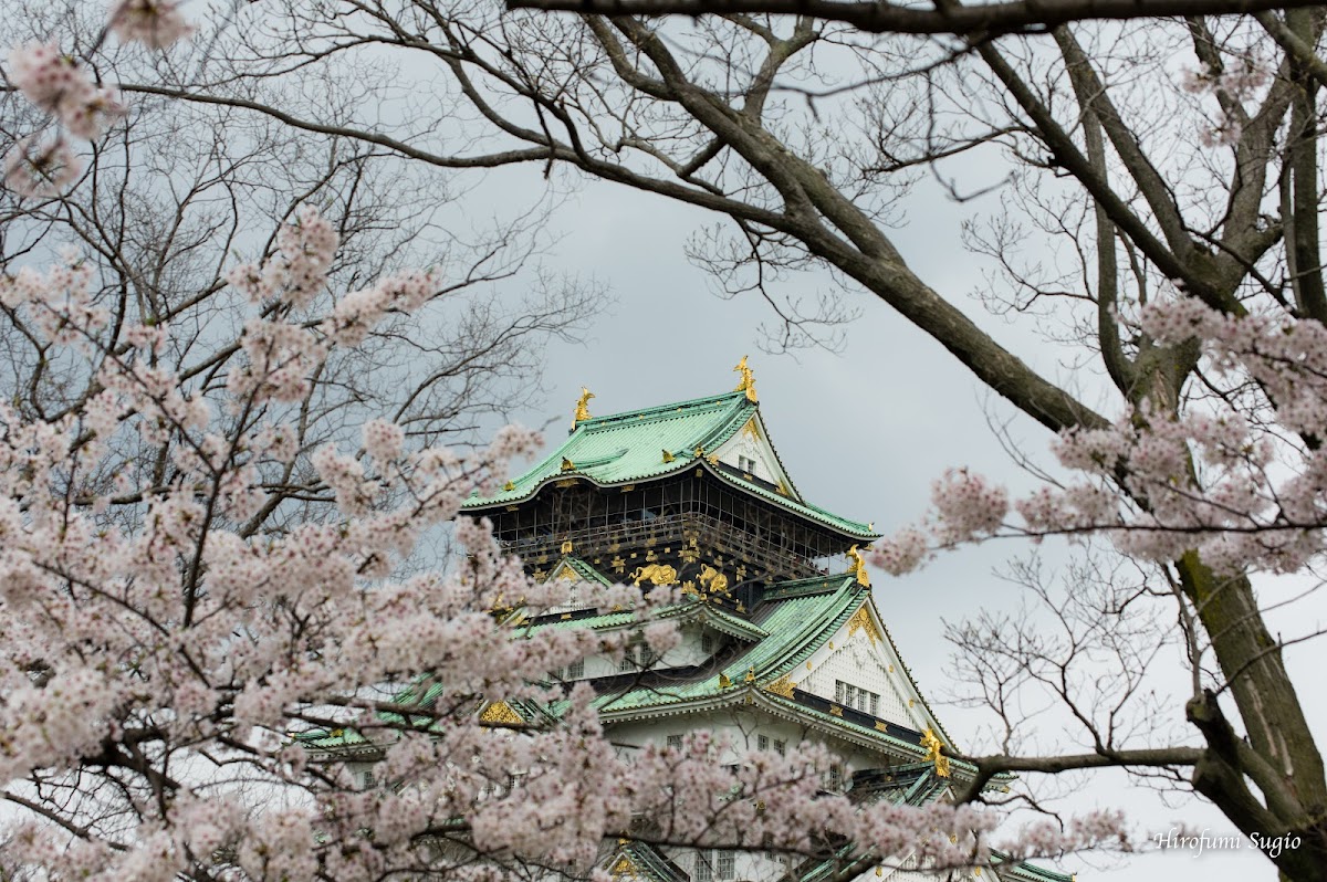 Nishinomaru Garden