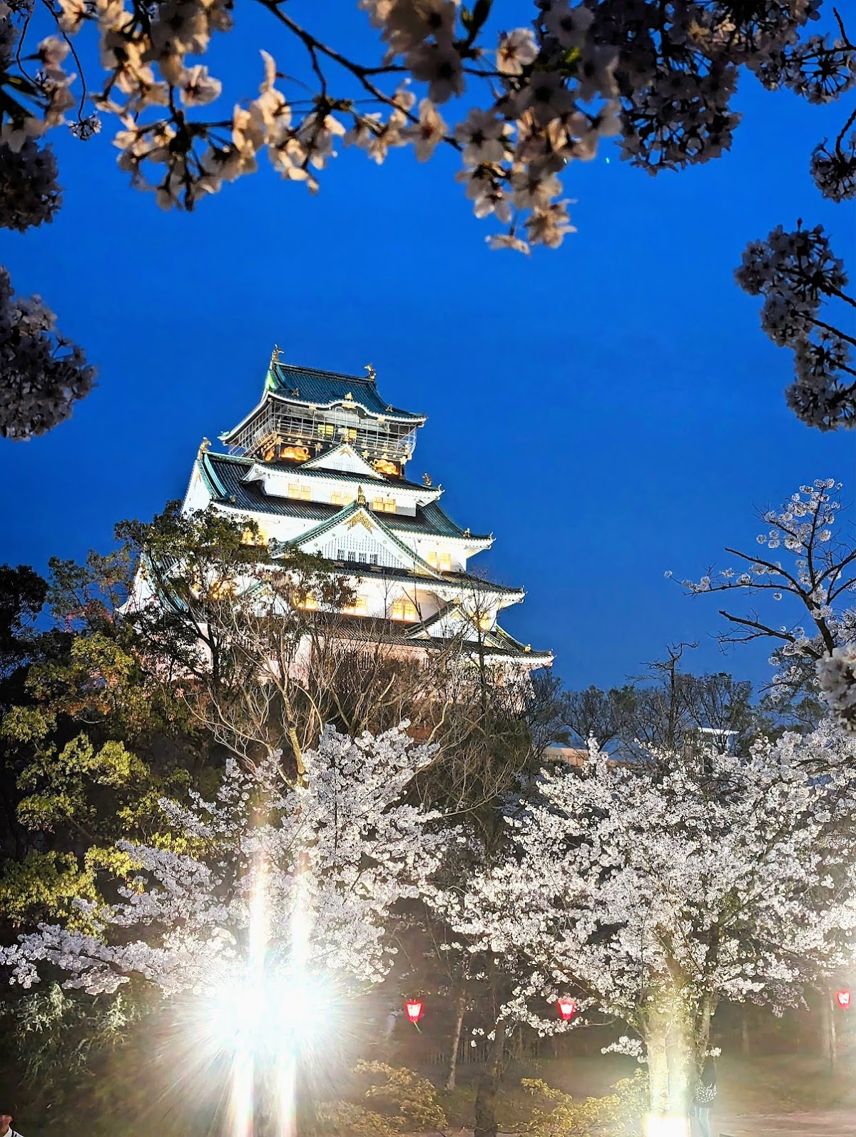 Nishinomaru Garden 2