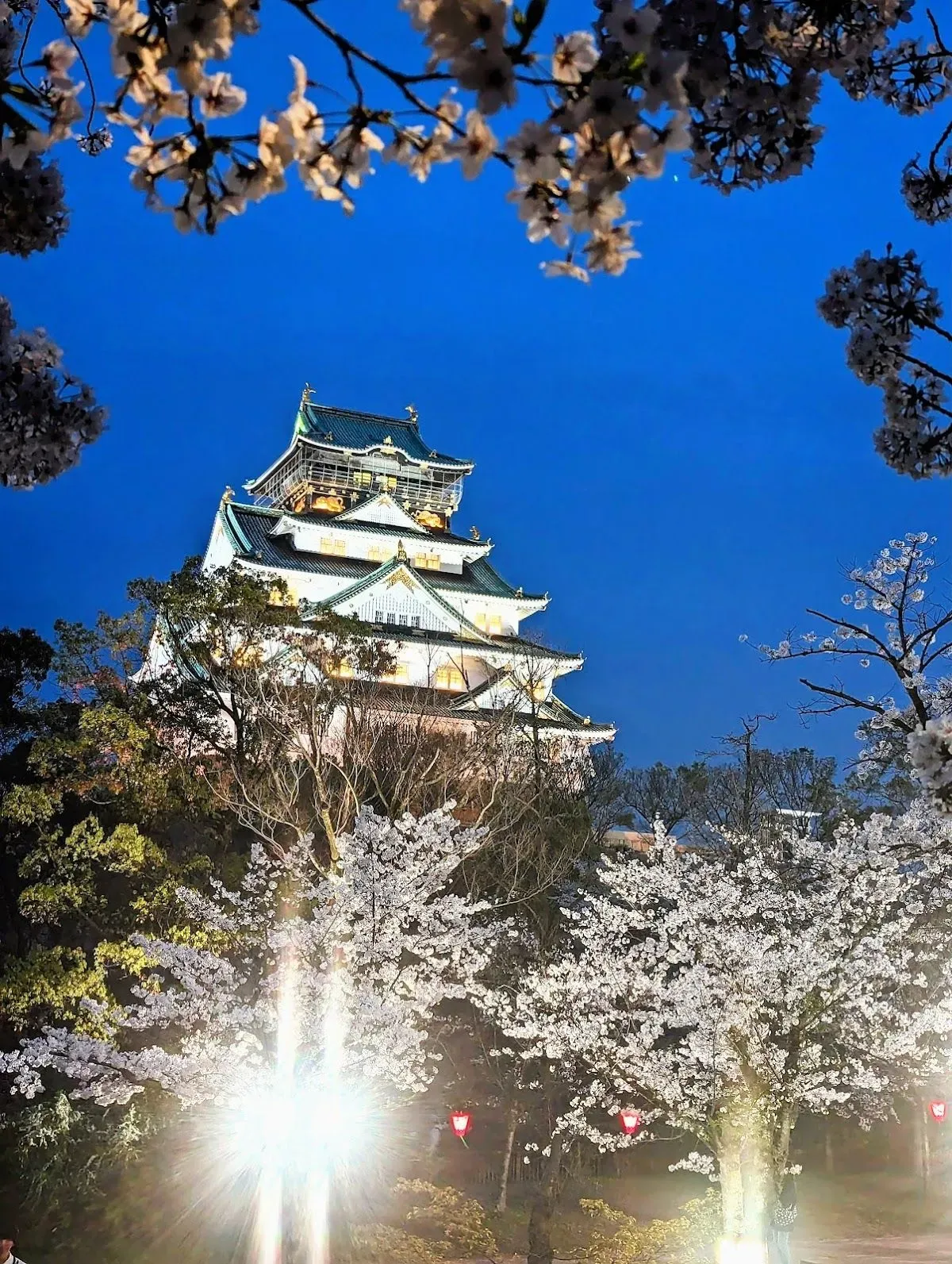 Nishinomaru Garden 2