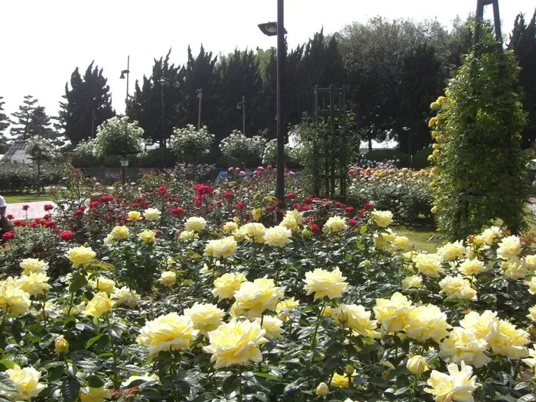 Hamadera Park