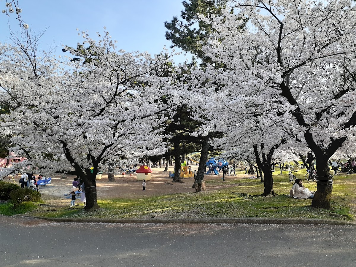 Hamadera Park 2