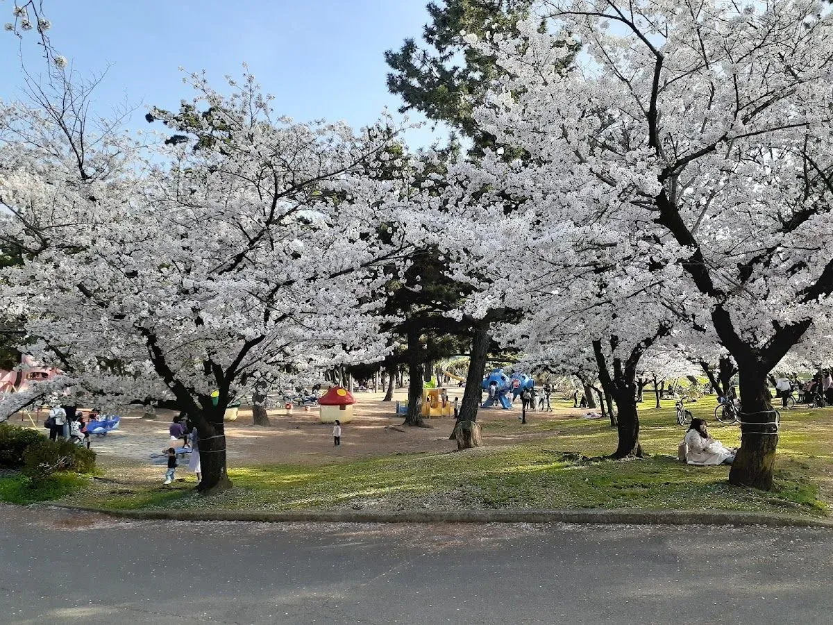 Hamadera Park 2