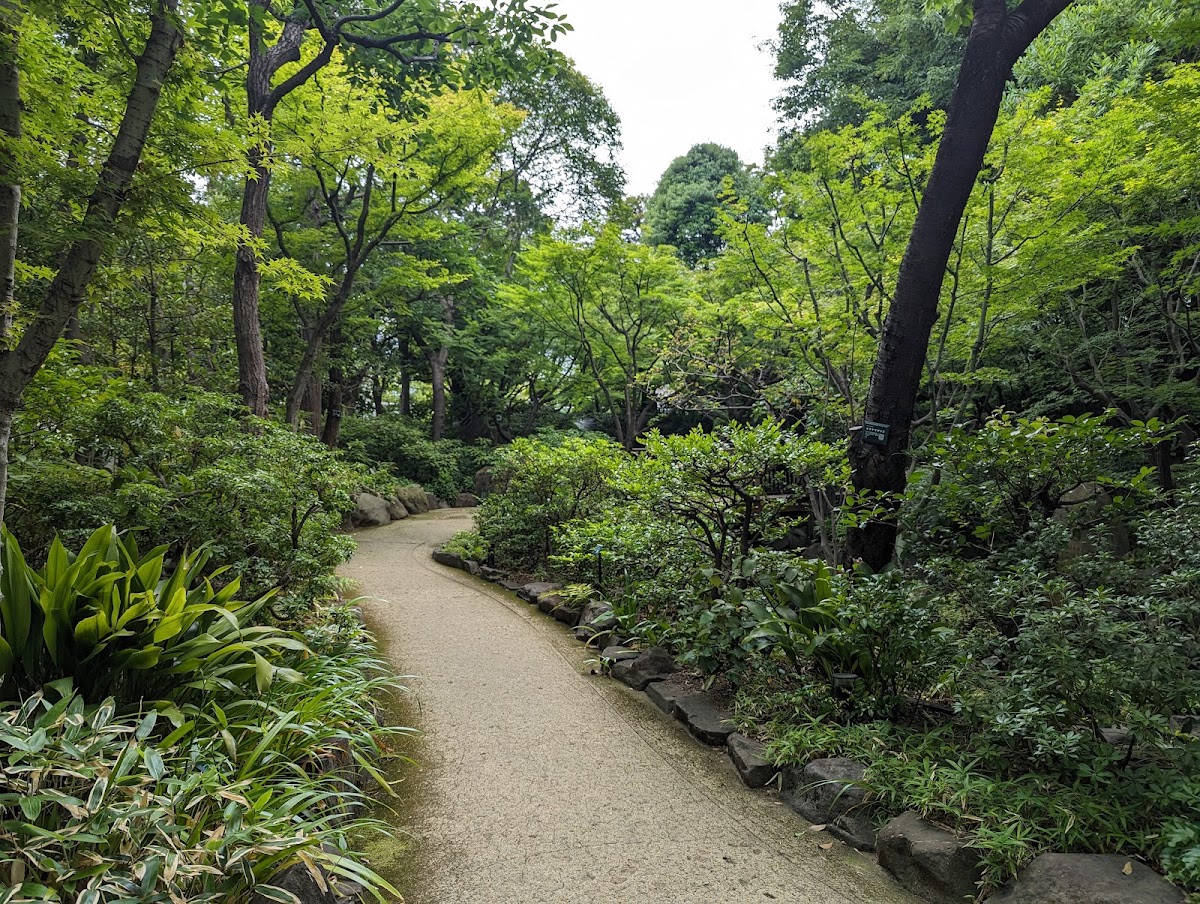 The Island Garden