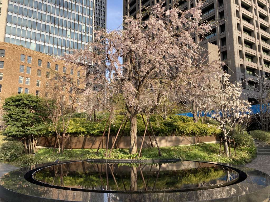 Nakanoshima-shikinooka Park 2