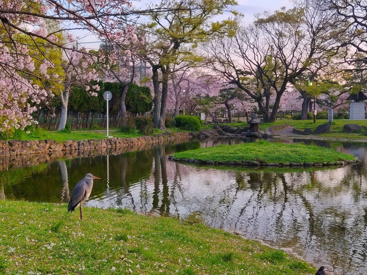 Sumiyoshi Park