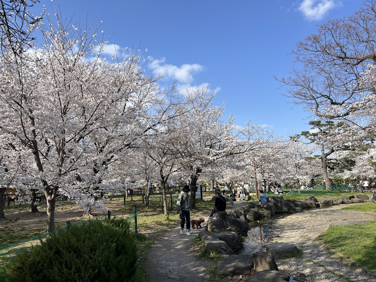 Sumiyoshi Park 3