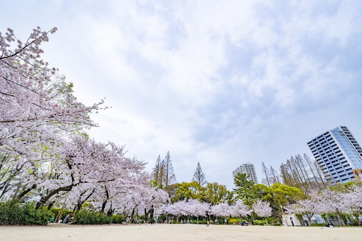 Utsubo Park 4