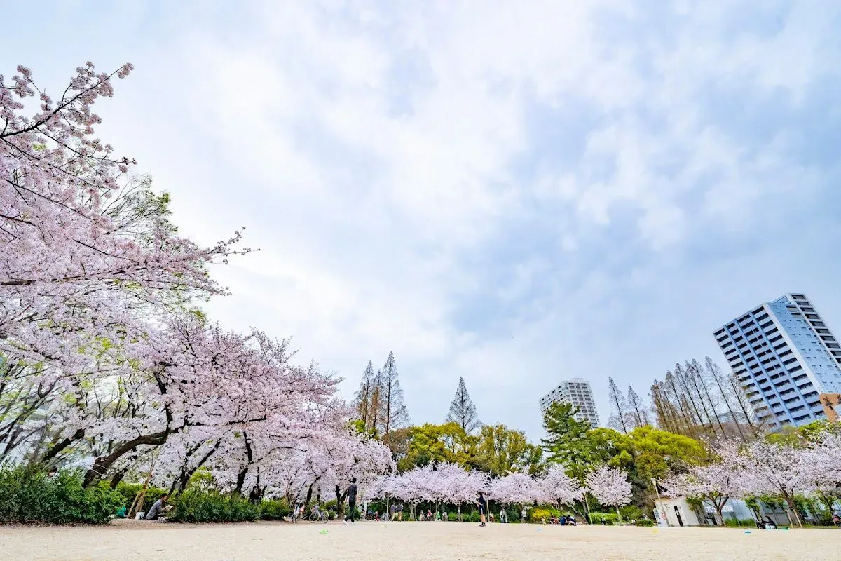 Utsubo Park 4