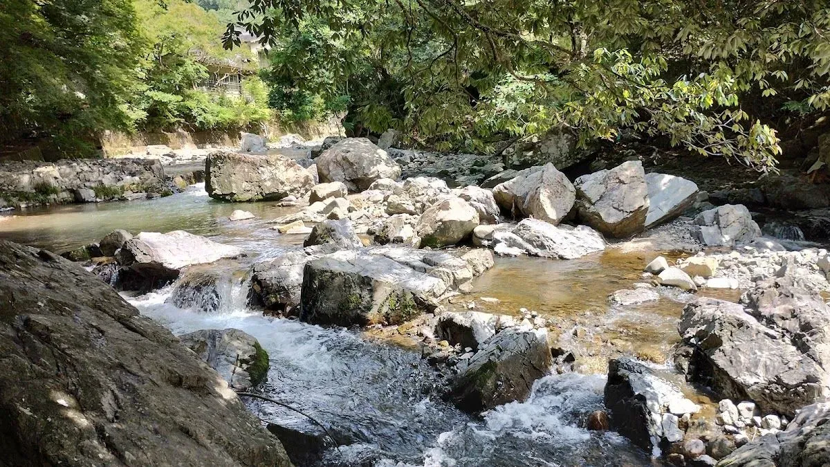 Settsukyo Park 2
