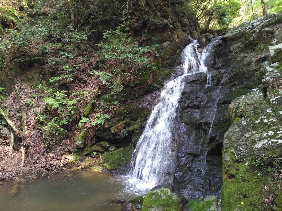 Settsukyo Park 4