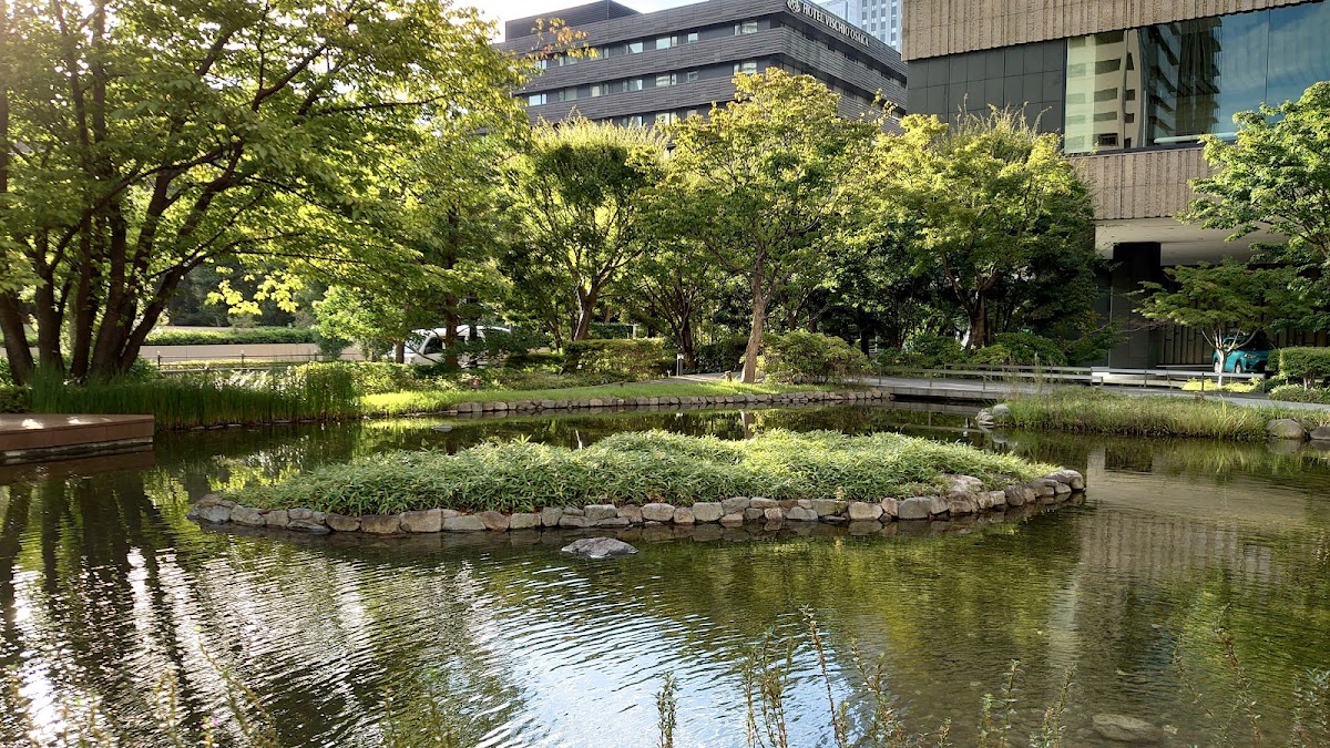 Walking Path with a Pond