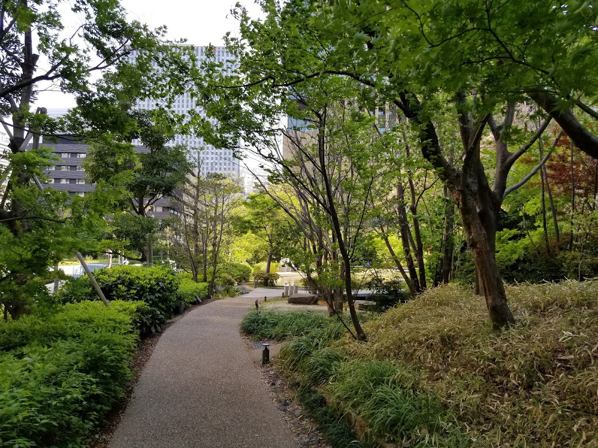 Walking Path with a Pond 2