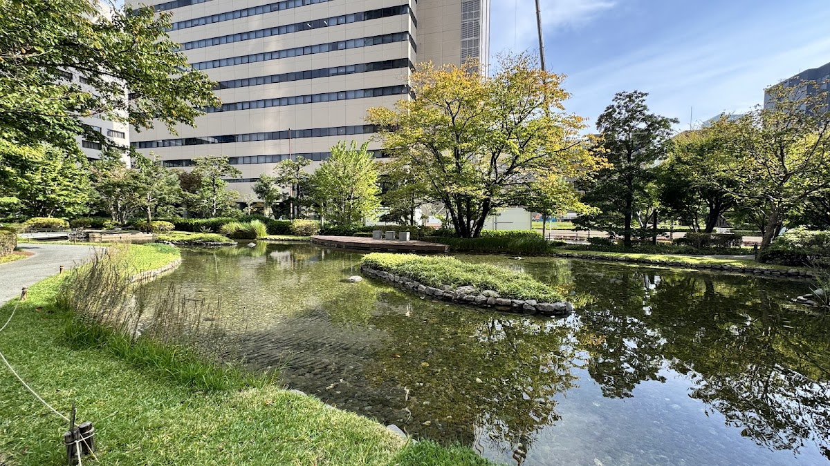 Walking Path with a Pond 3