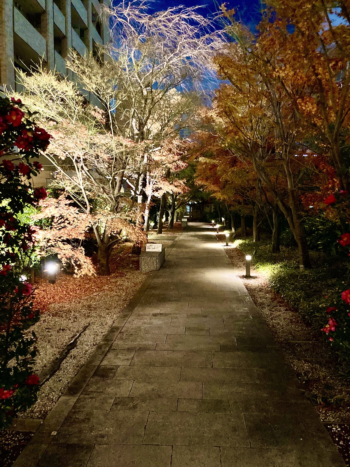 Walking Path with a Pond 4