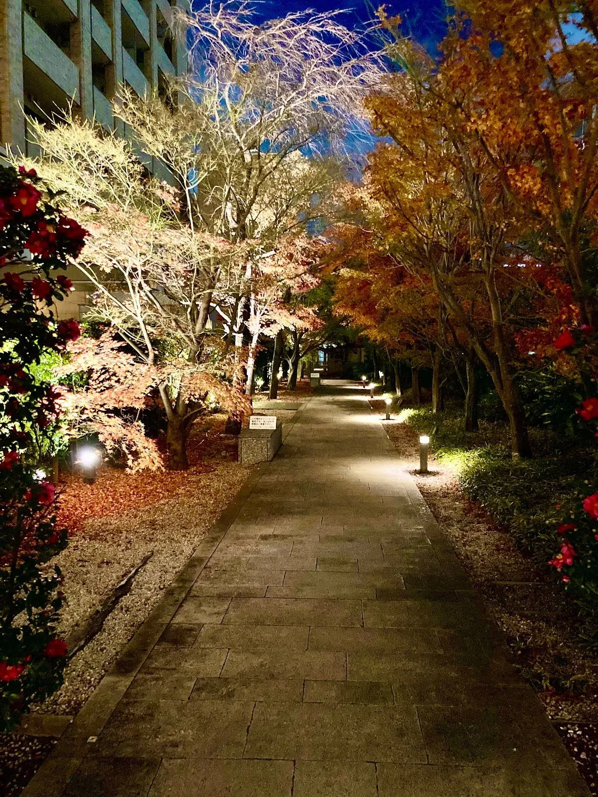 Walking Path with a Pond 4