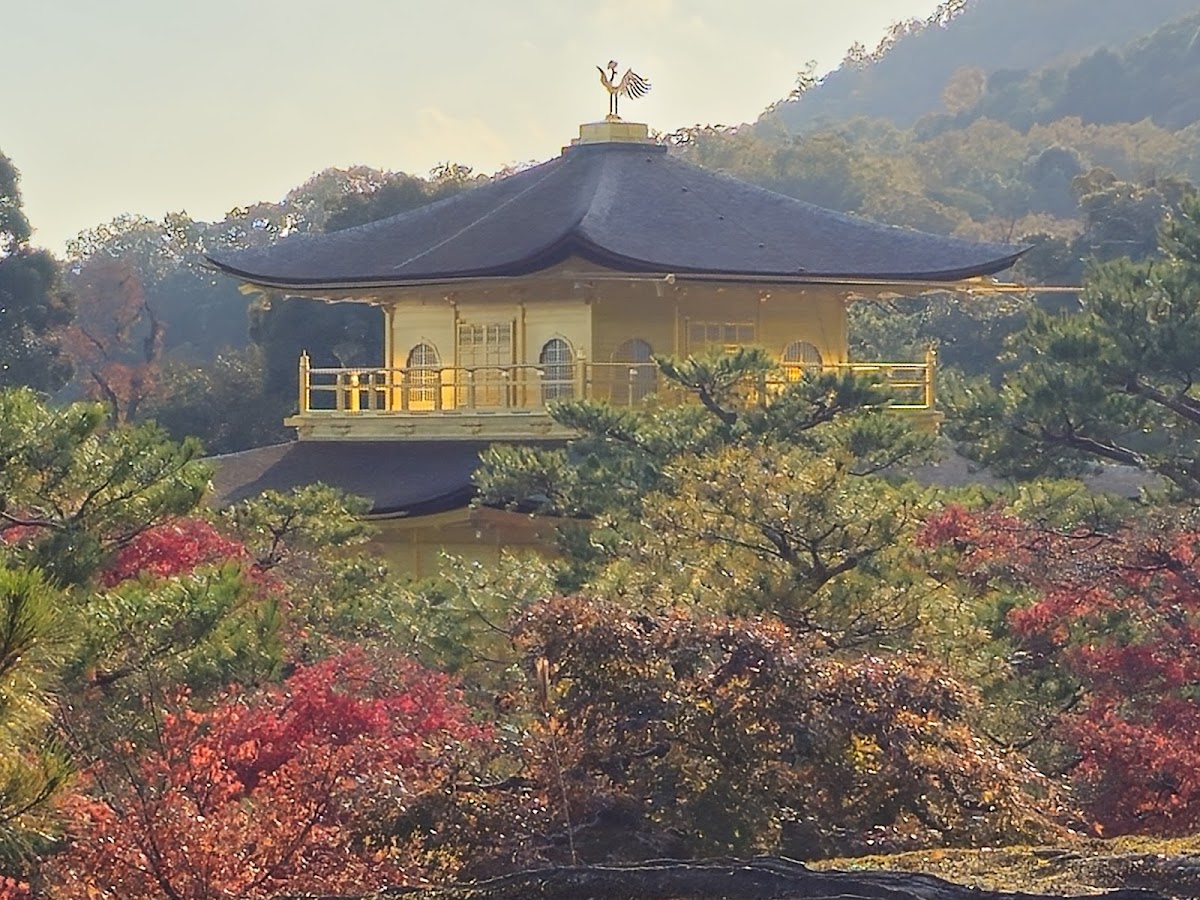Kinkaku-ji 3