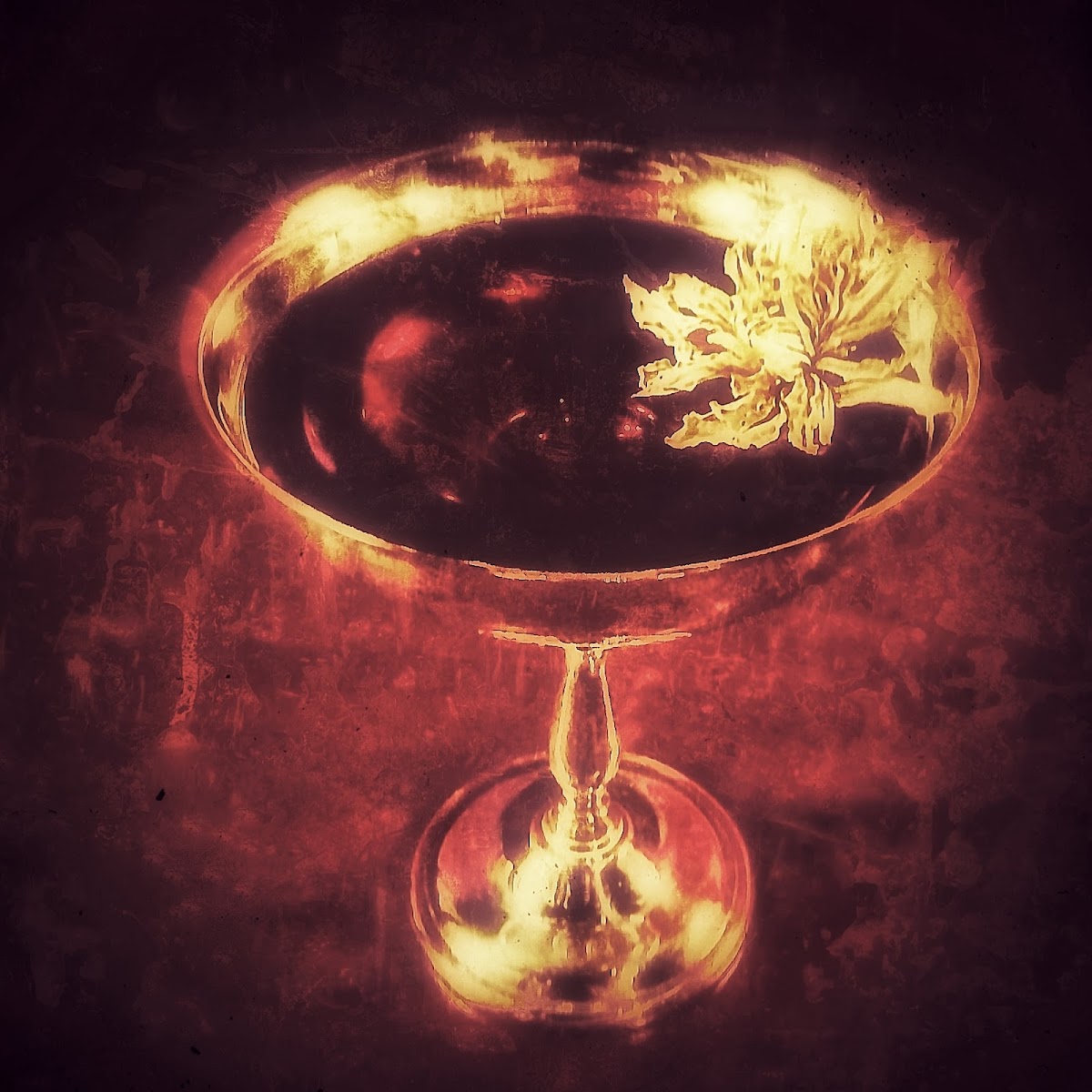 Bar Shiki 3