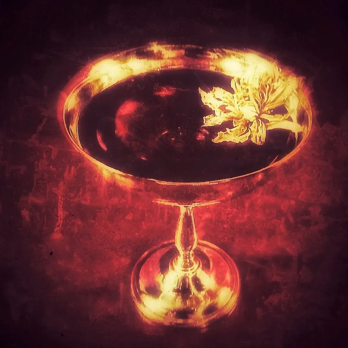Bar Shiki 3