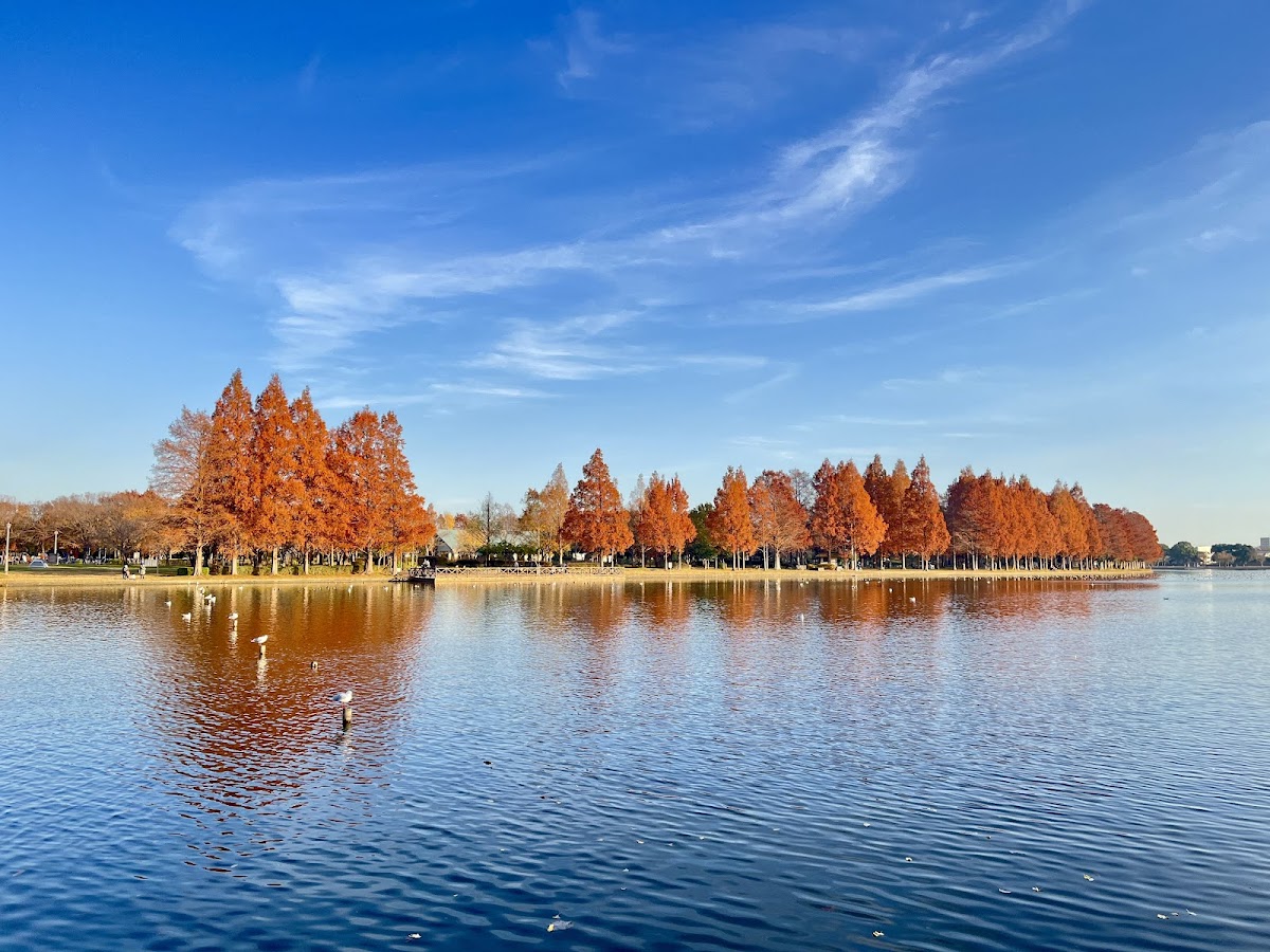 Mizumoto Park