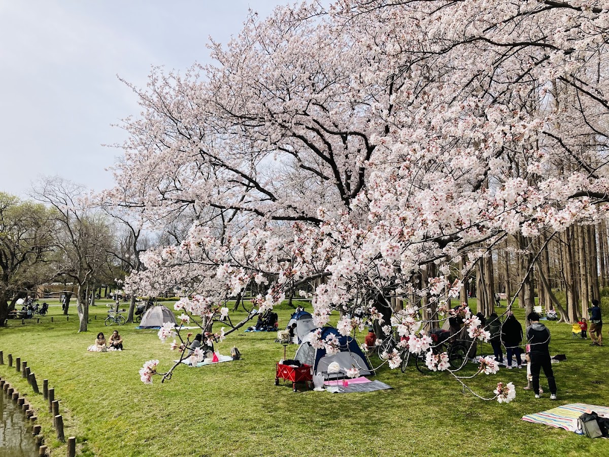 Mizumoto Park 4