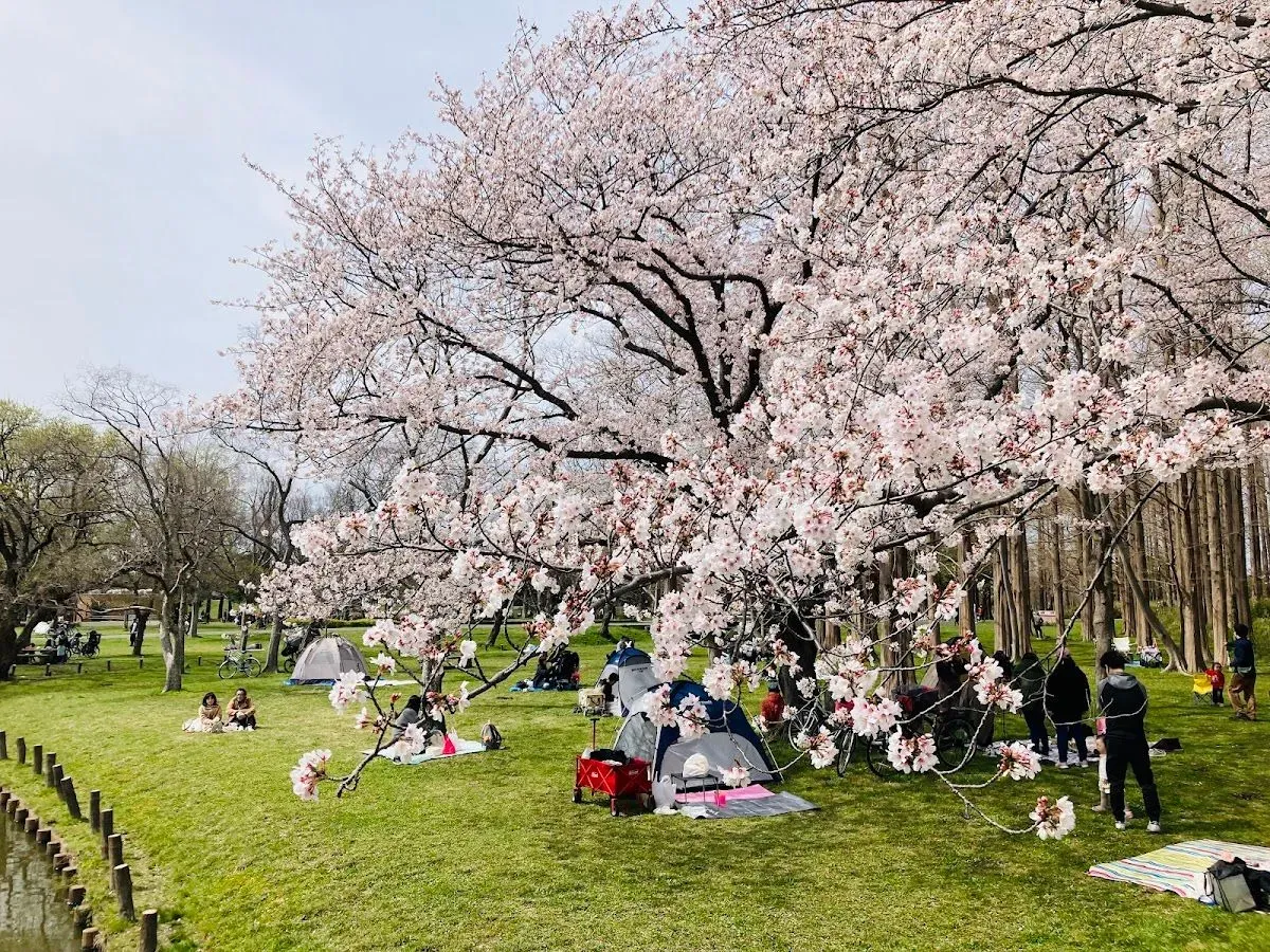 Mizumoto Park 4