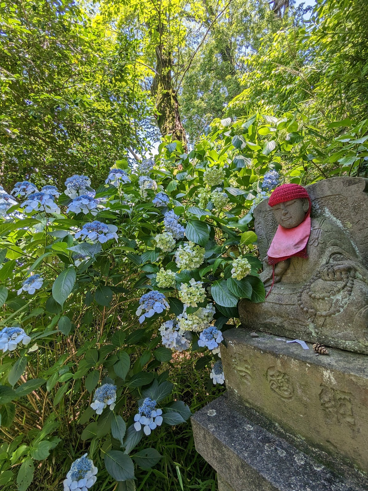 Tama Hills Nature Park 3