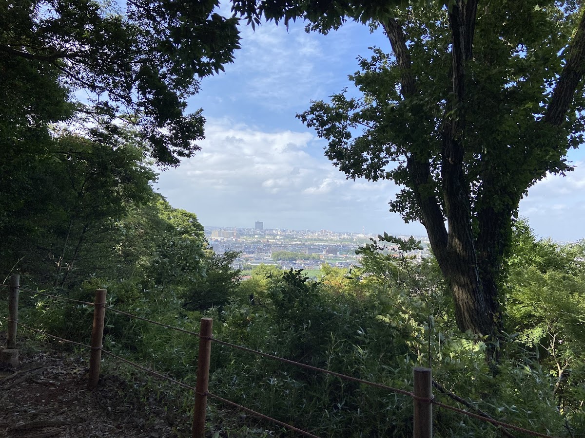 Tama Hills Nature Park 4