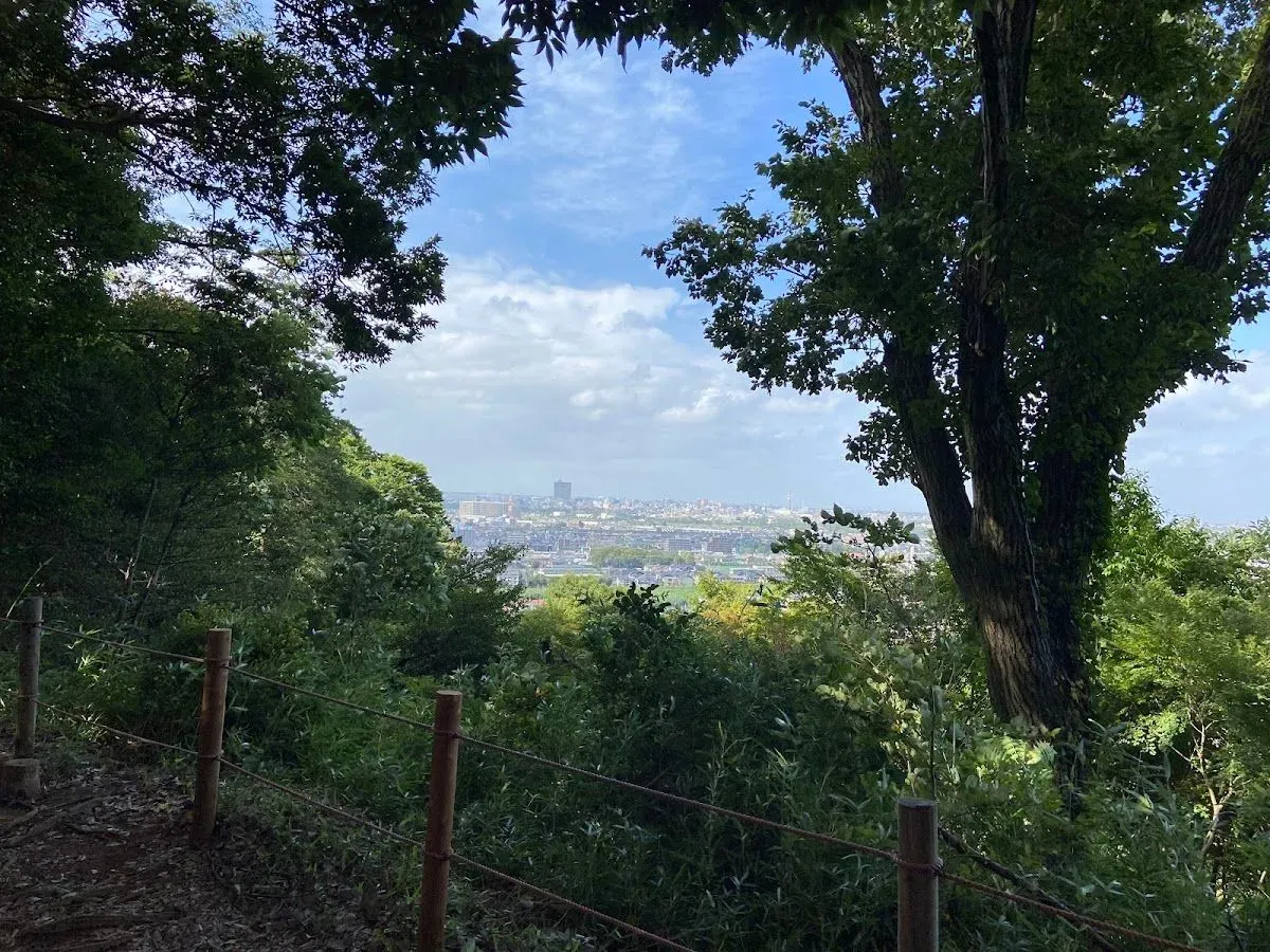 Tama Hills Nature Park 4