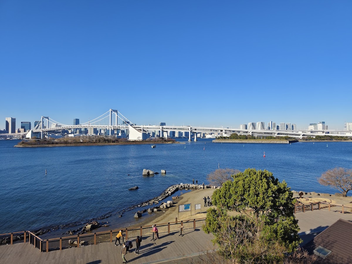 Odaiba Marine Park 3