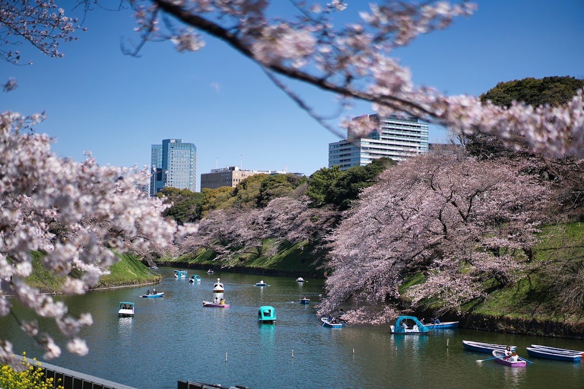 Chidorigafuchi Park