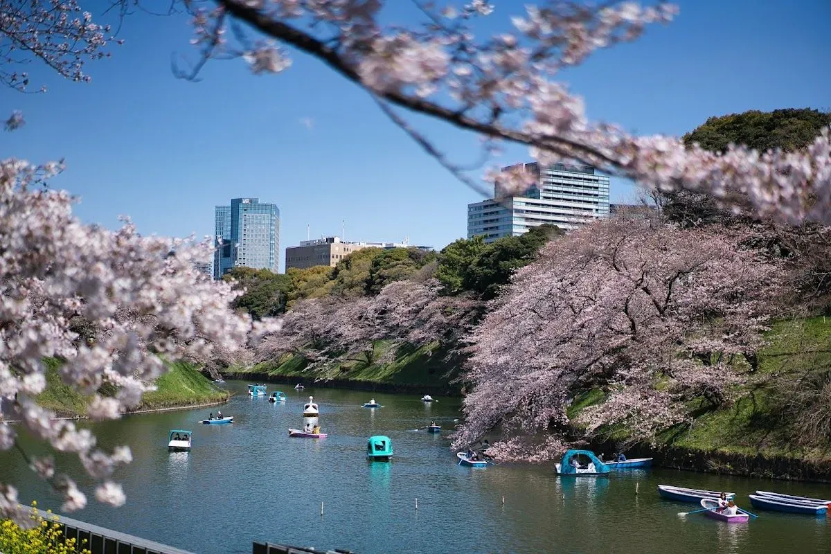 Chidorigafuchi Park