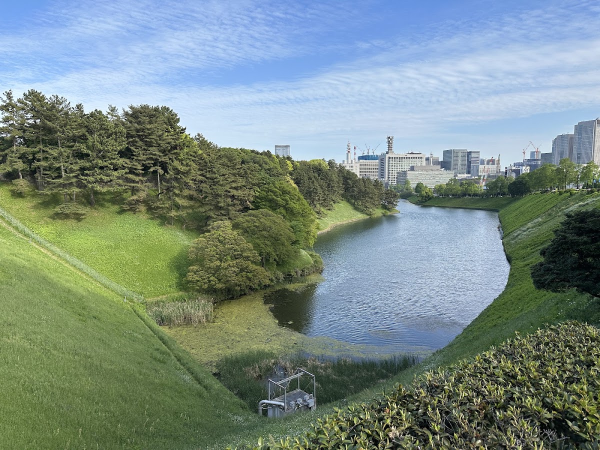 Chidorigafuchi Park 2