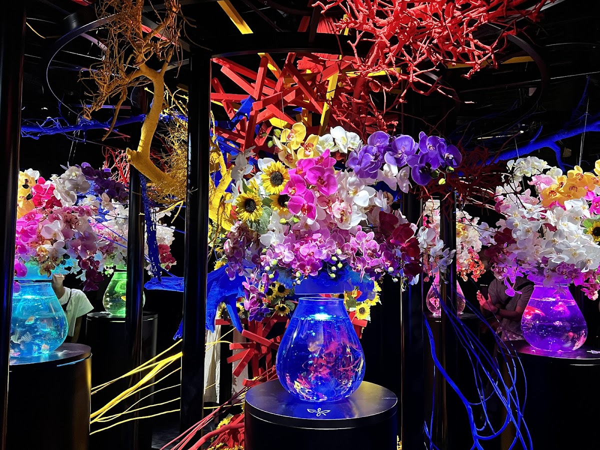 ART AQUARIUM MUSEUM 2