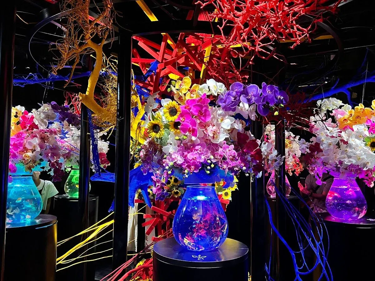 ART AQUARIUM MUSEUM 2