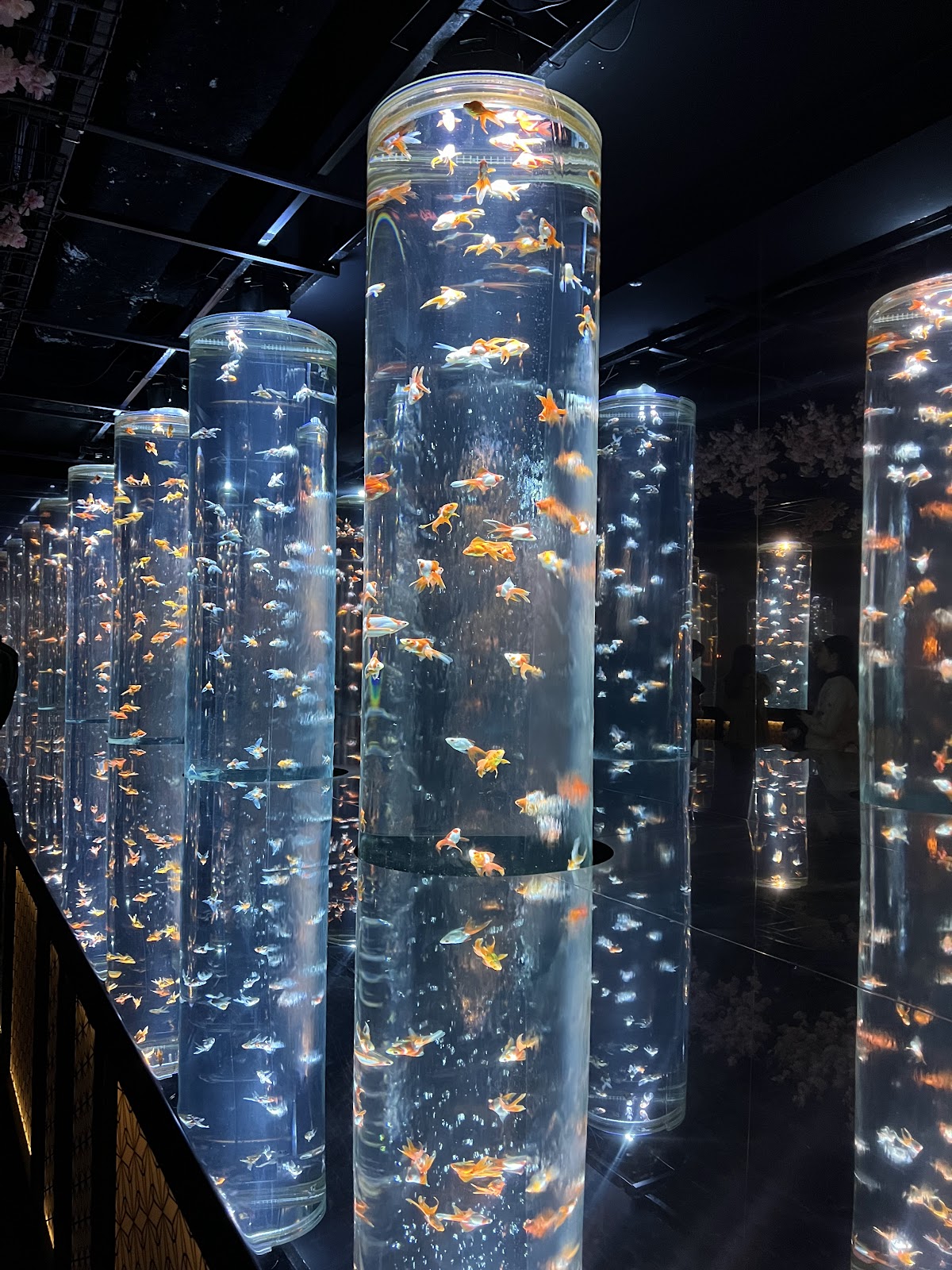 ART AQUARIUM MUSEUM 3