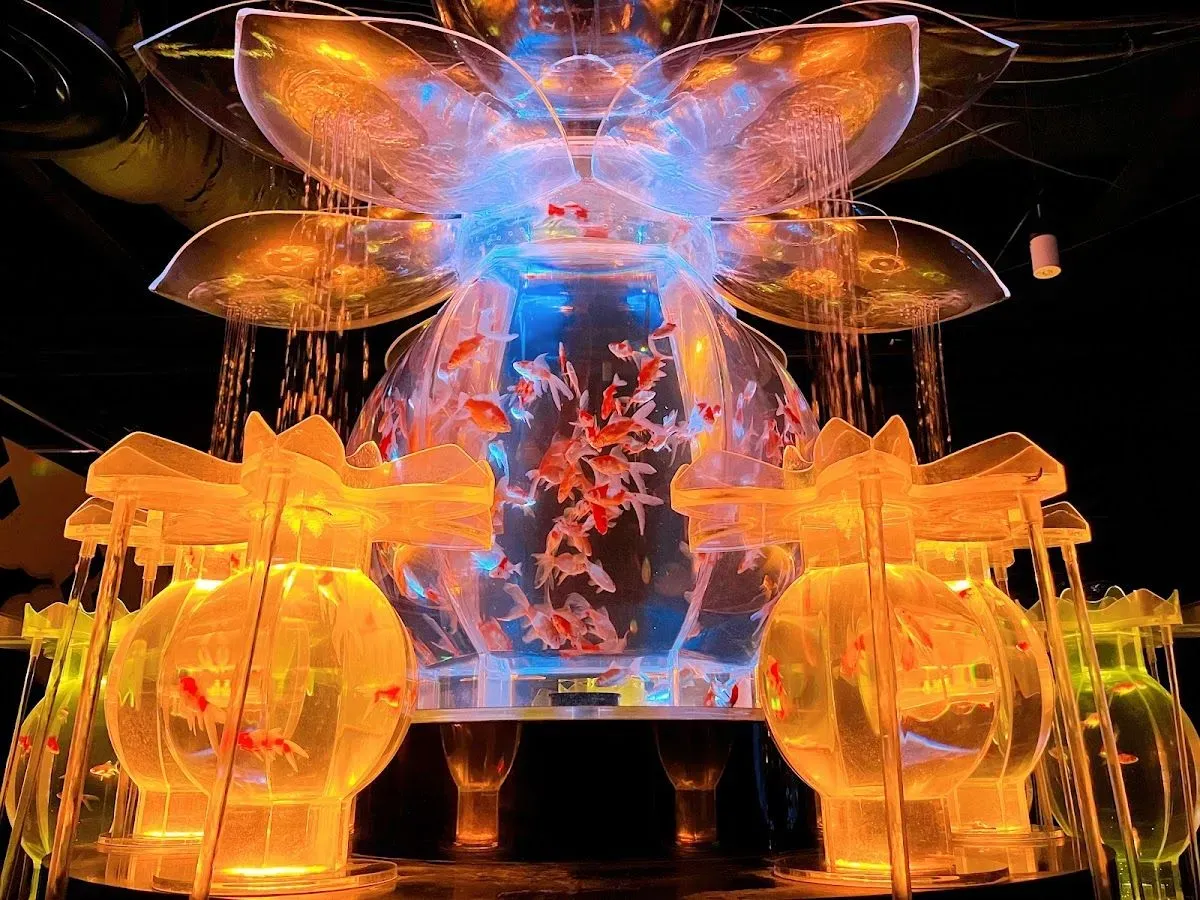 ART AQUARIUM MUSEUM 4