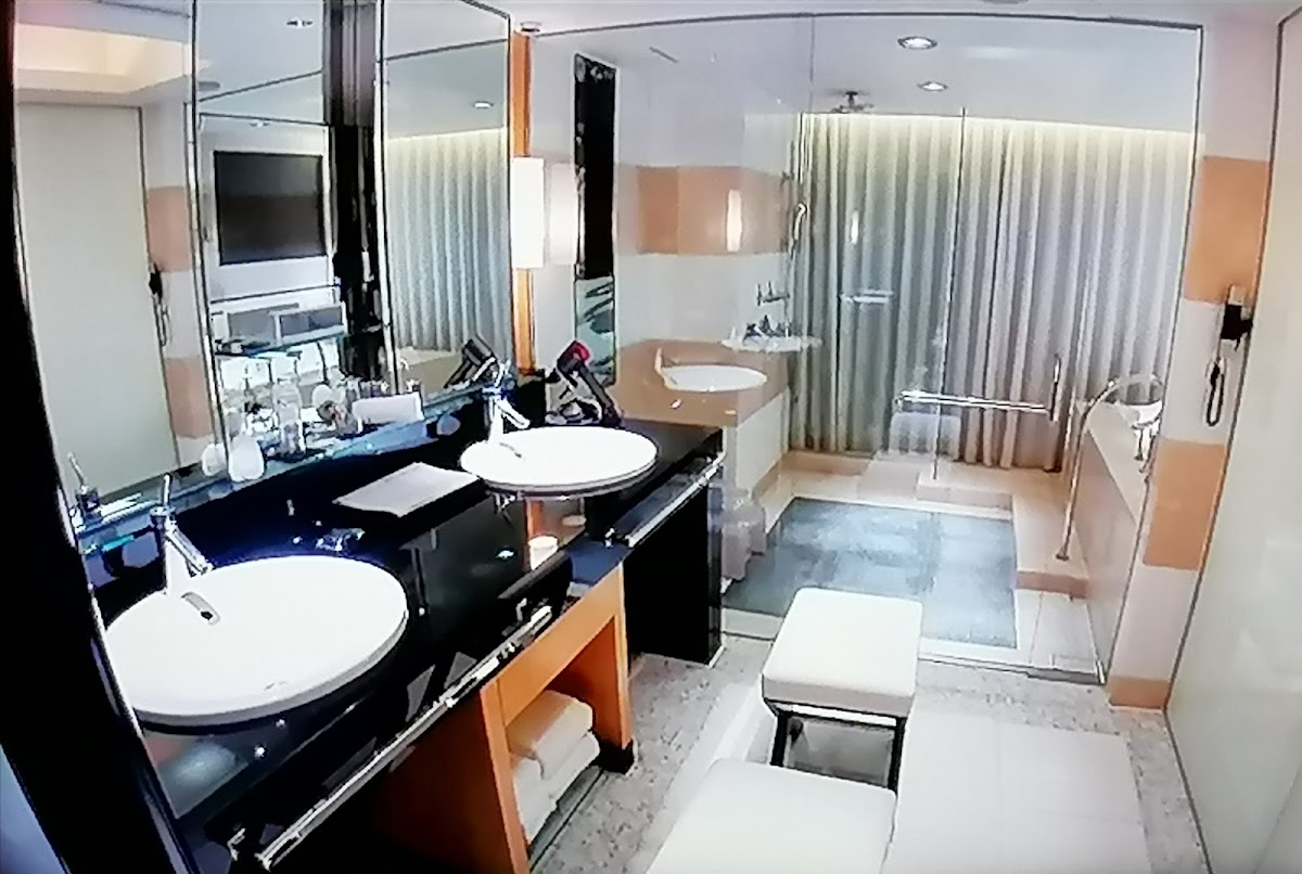 Hotel New Otani Tokyo The Main 4