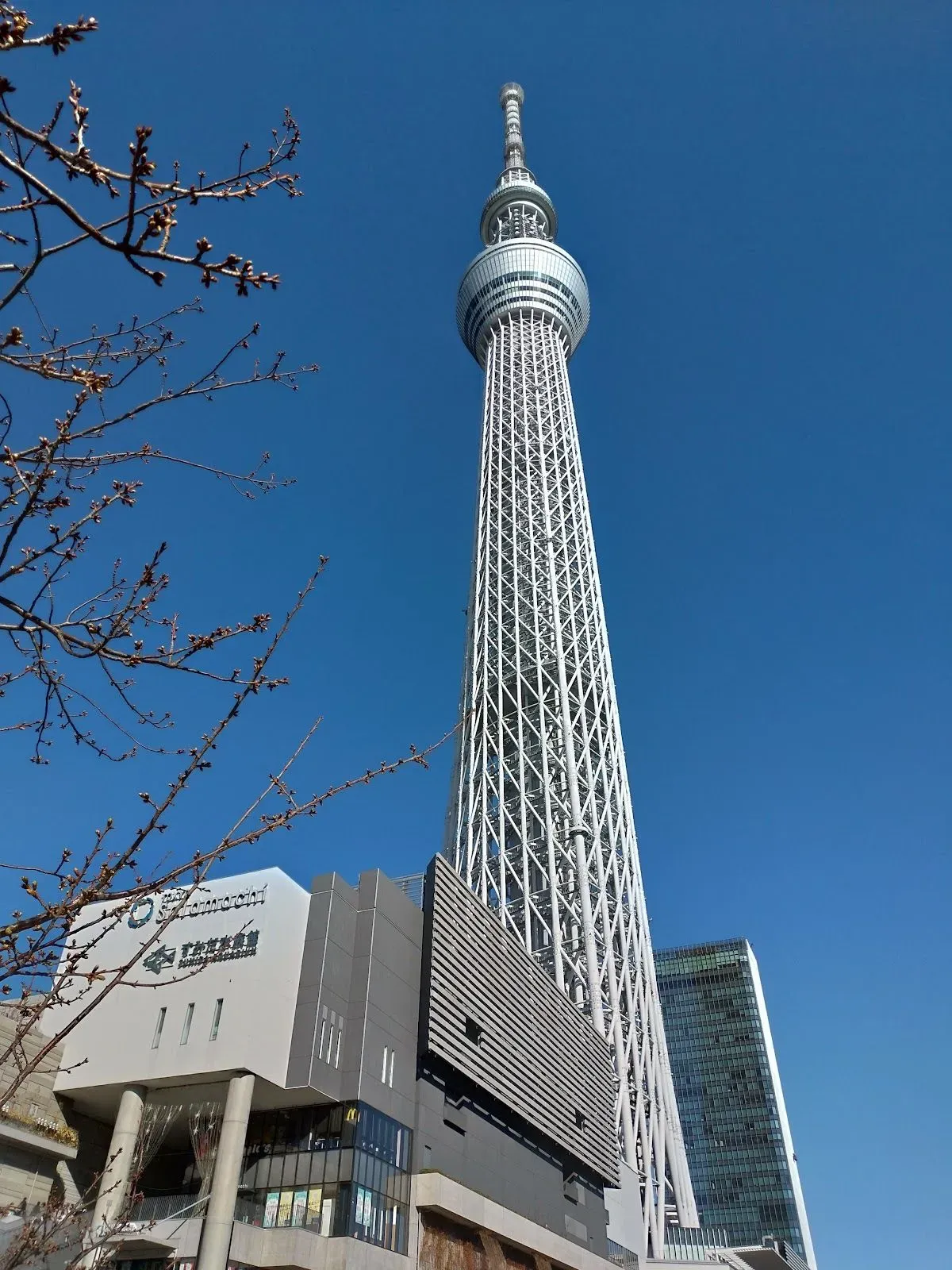 Tokyo Skytree Observation Deck 4