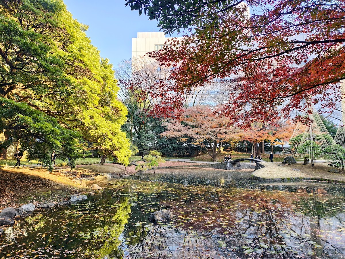 Koishikawa Korakuen Gardens 2