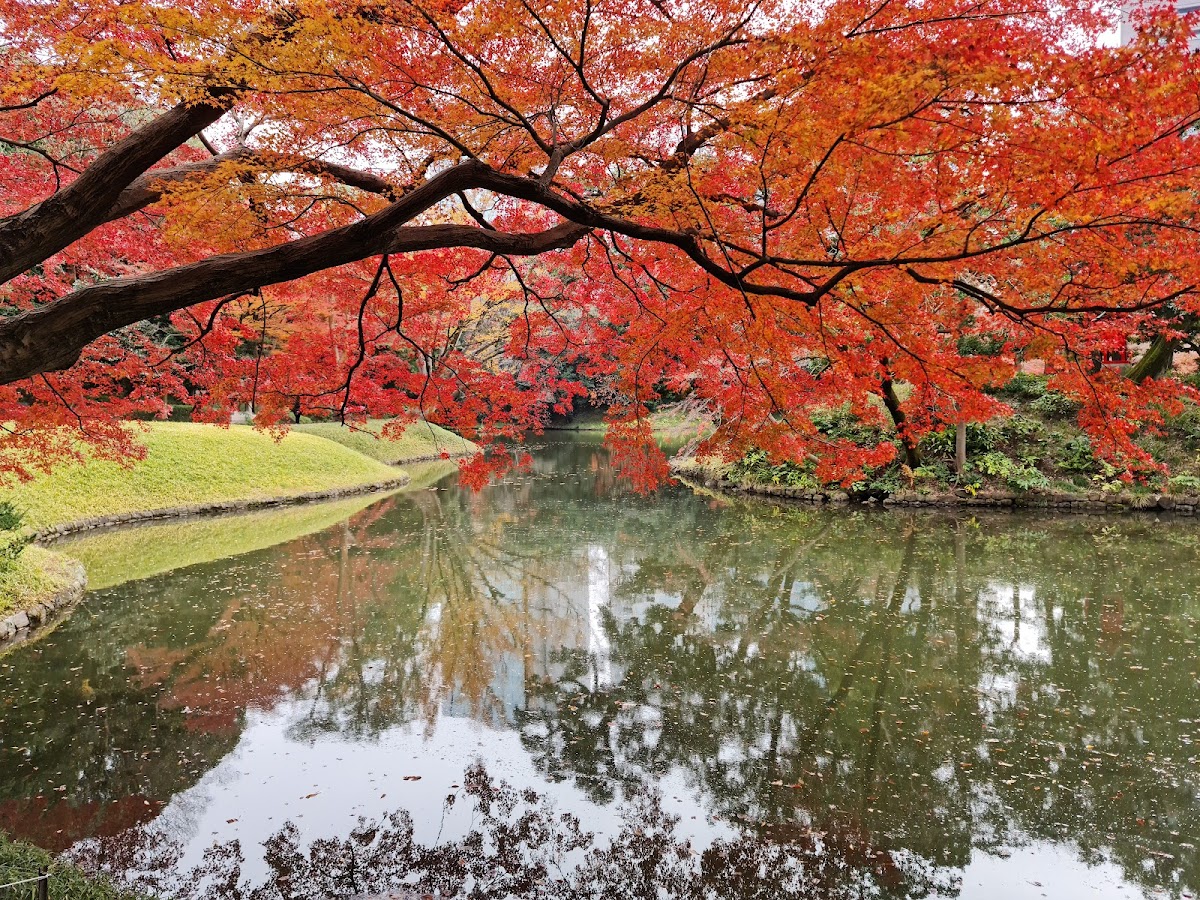Koishikawa Korakuen Gardens 3