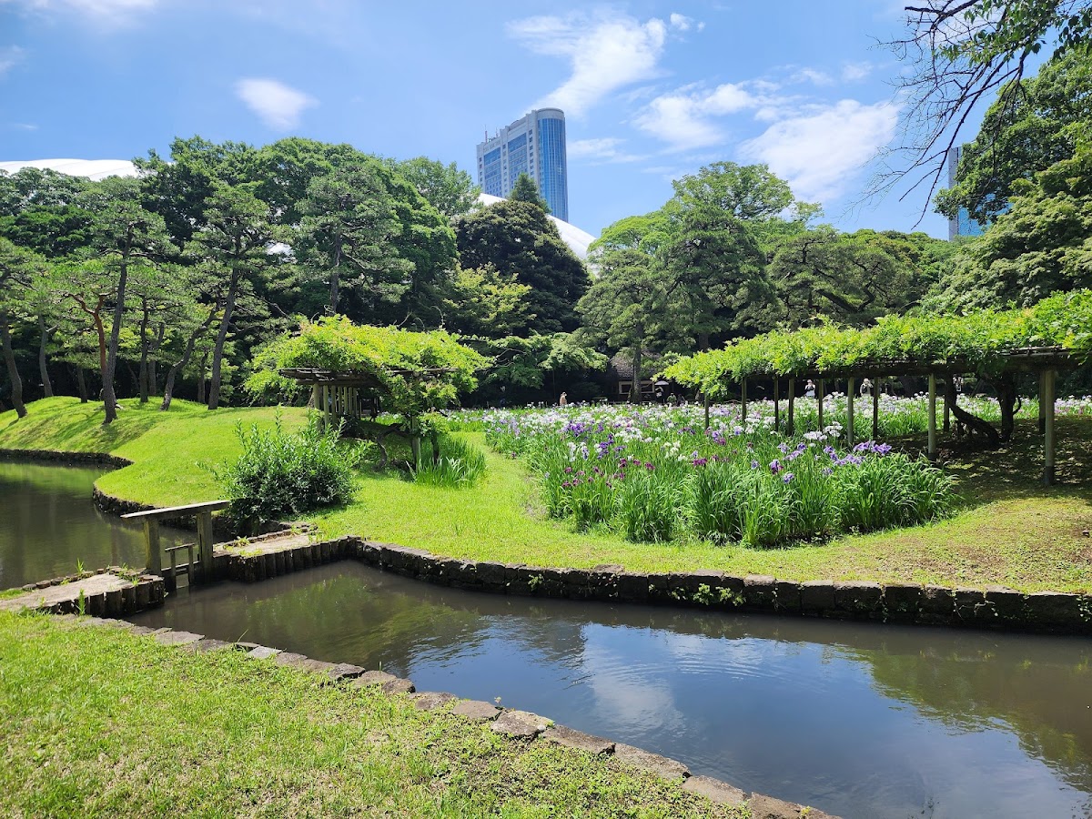 Koishikawa Korakuen Gardens 4
