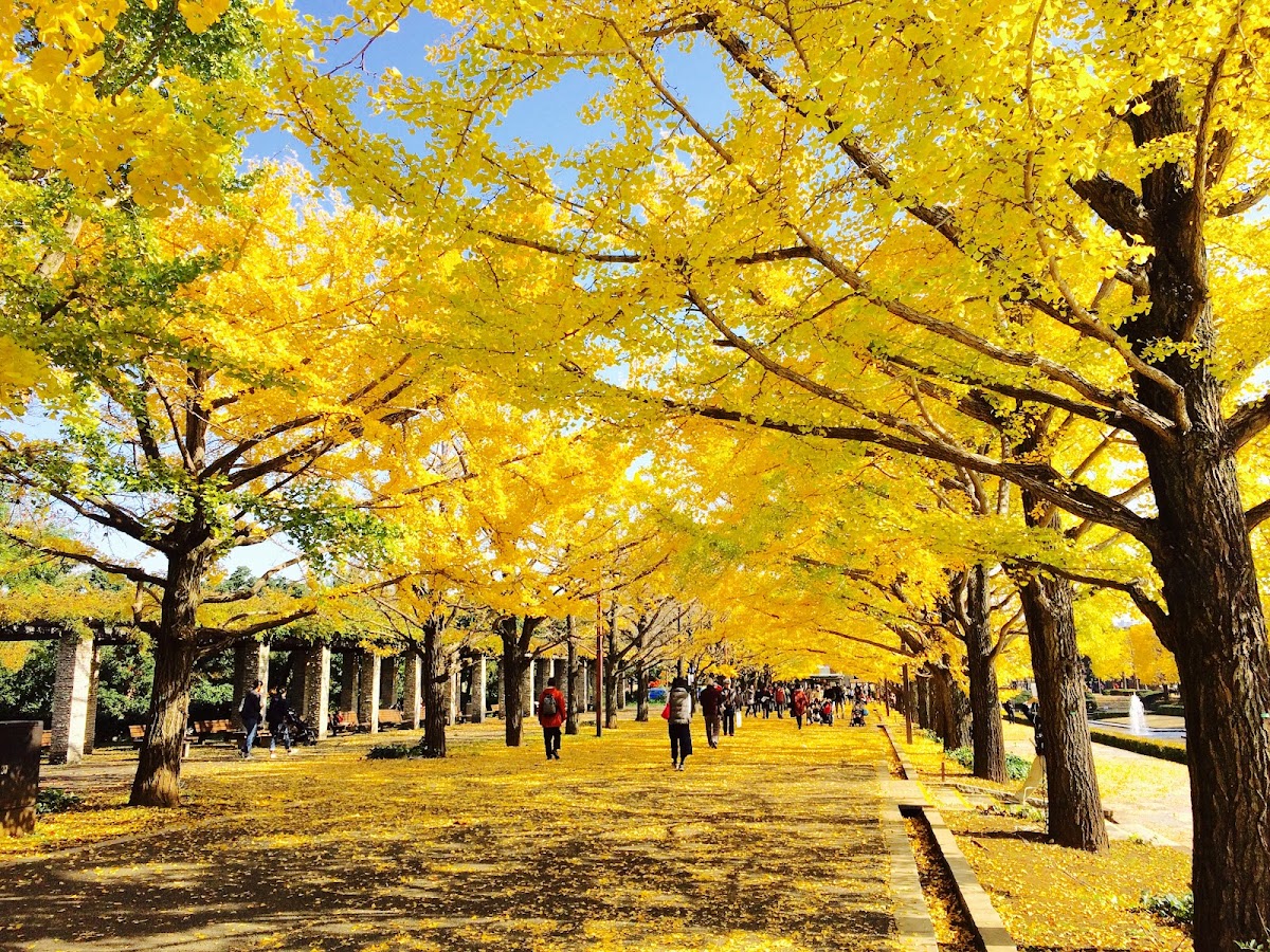 Showa Kinen Park 2