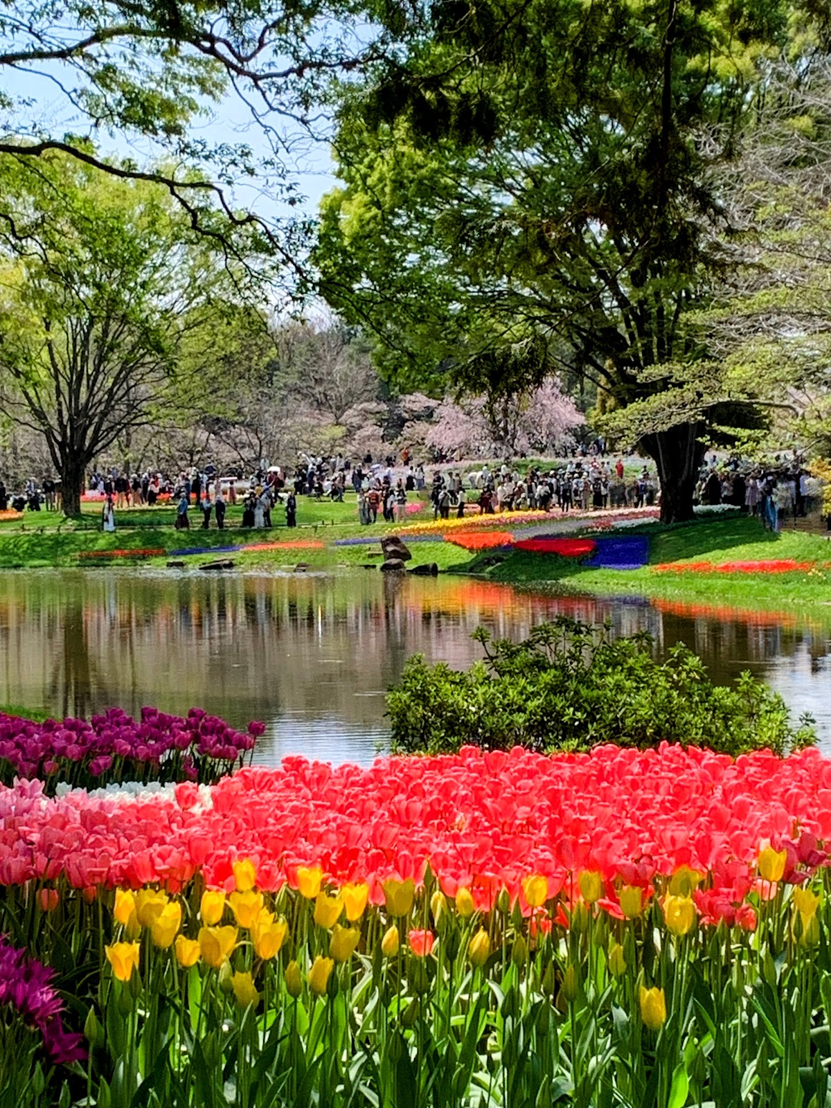 Showa Kinen Park 3