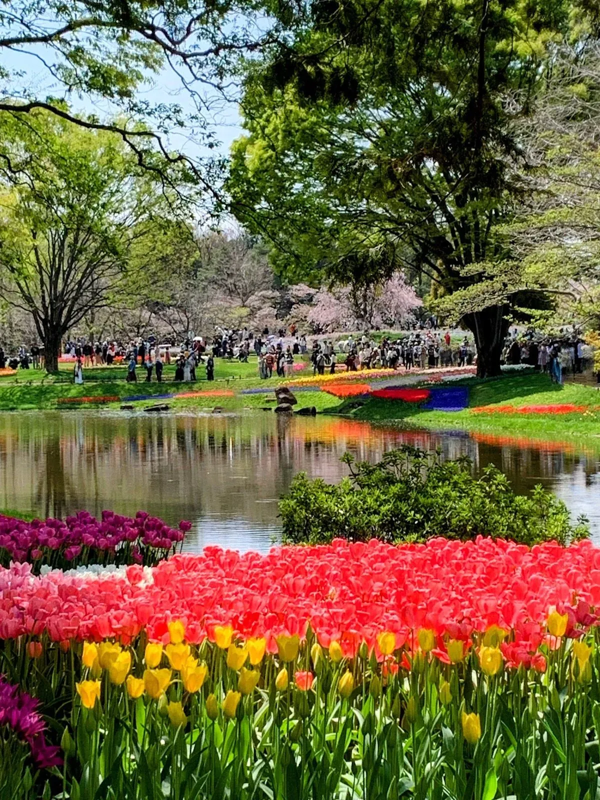 Showa Kinen Park 3
