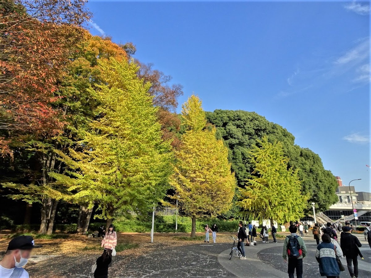 Yoyogi Park Clock Tower 2