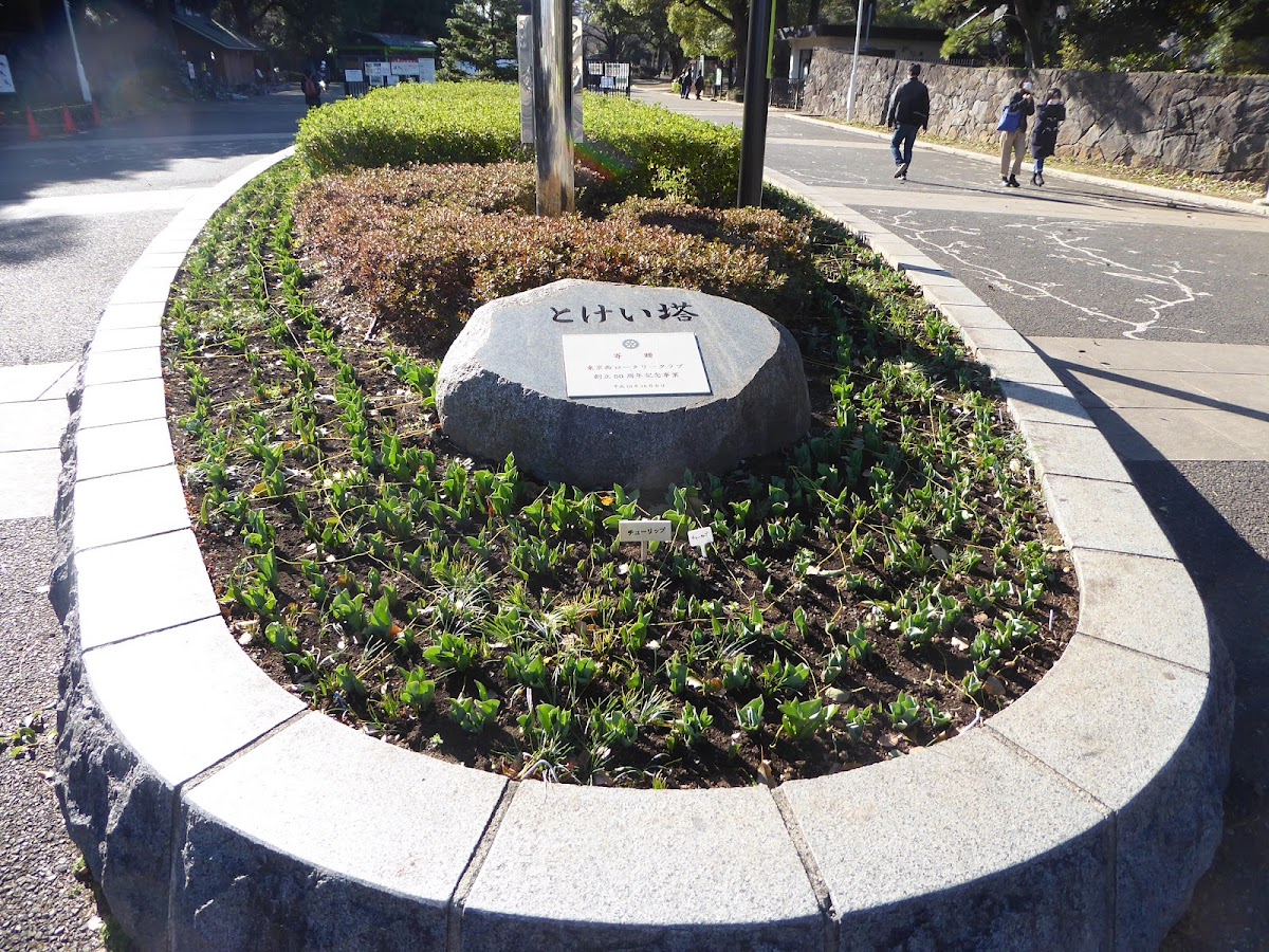 Yoyogi Park Clock Tower 3