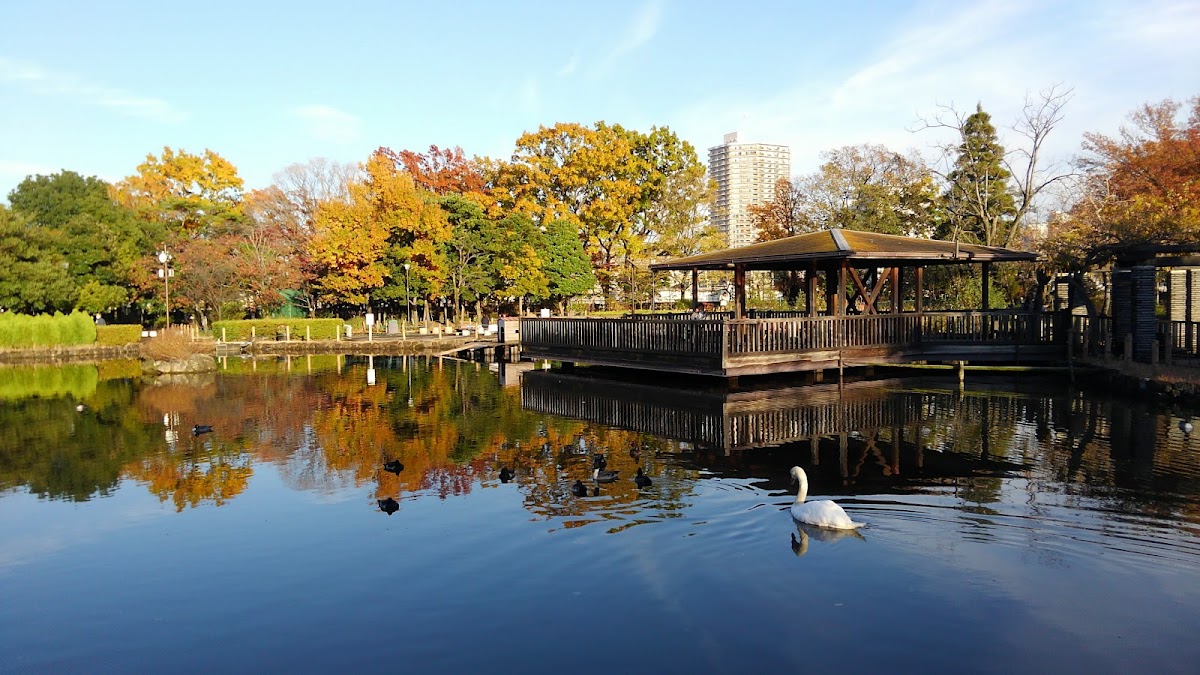 Arakawa Nature Park 2