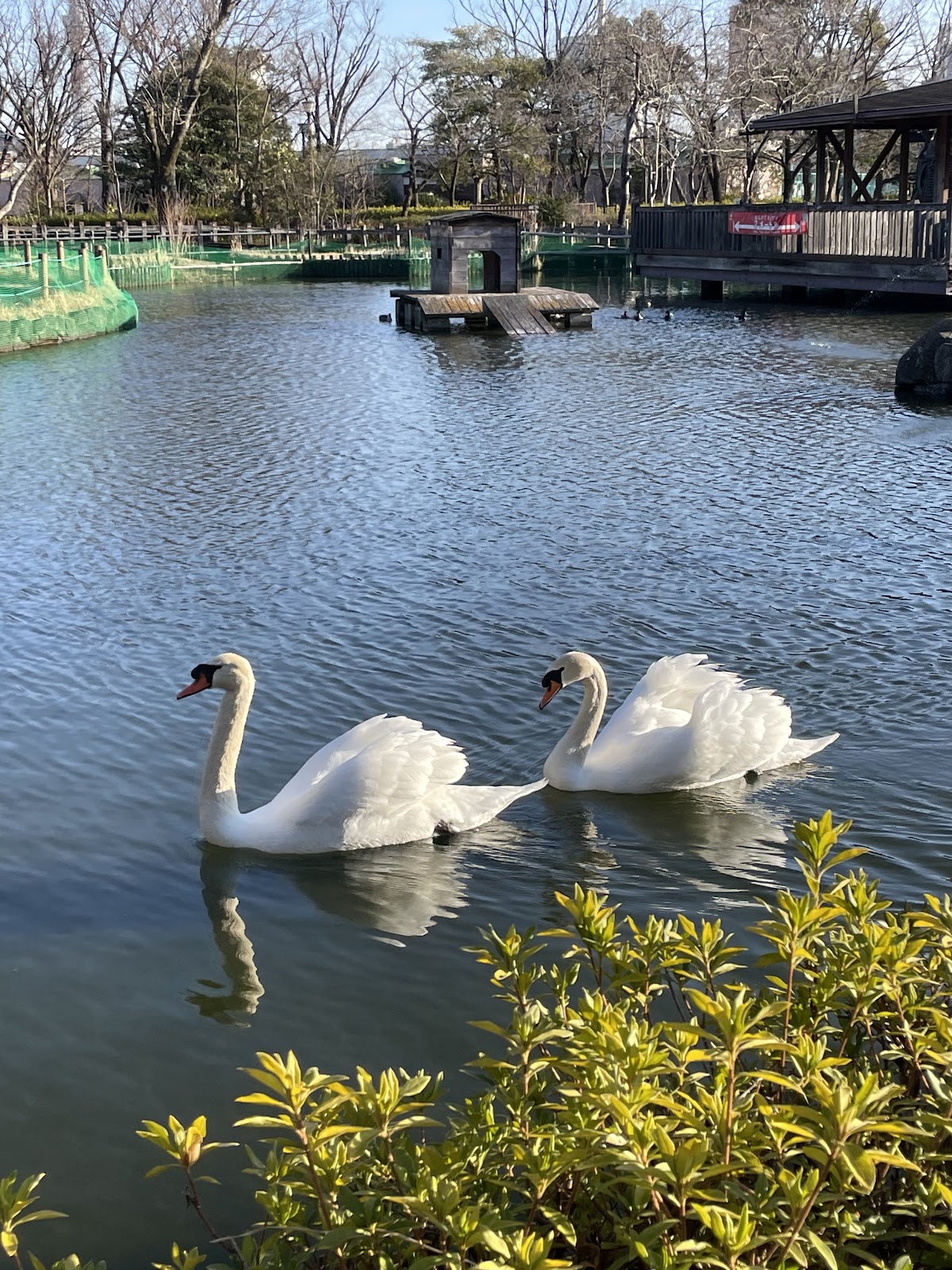 Arakawa Nature Park 3