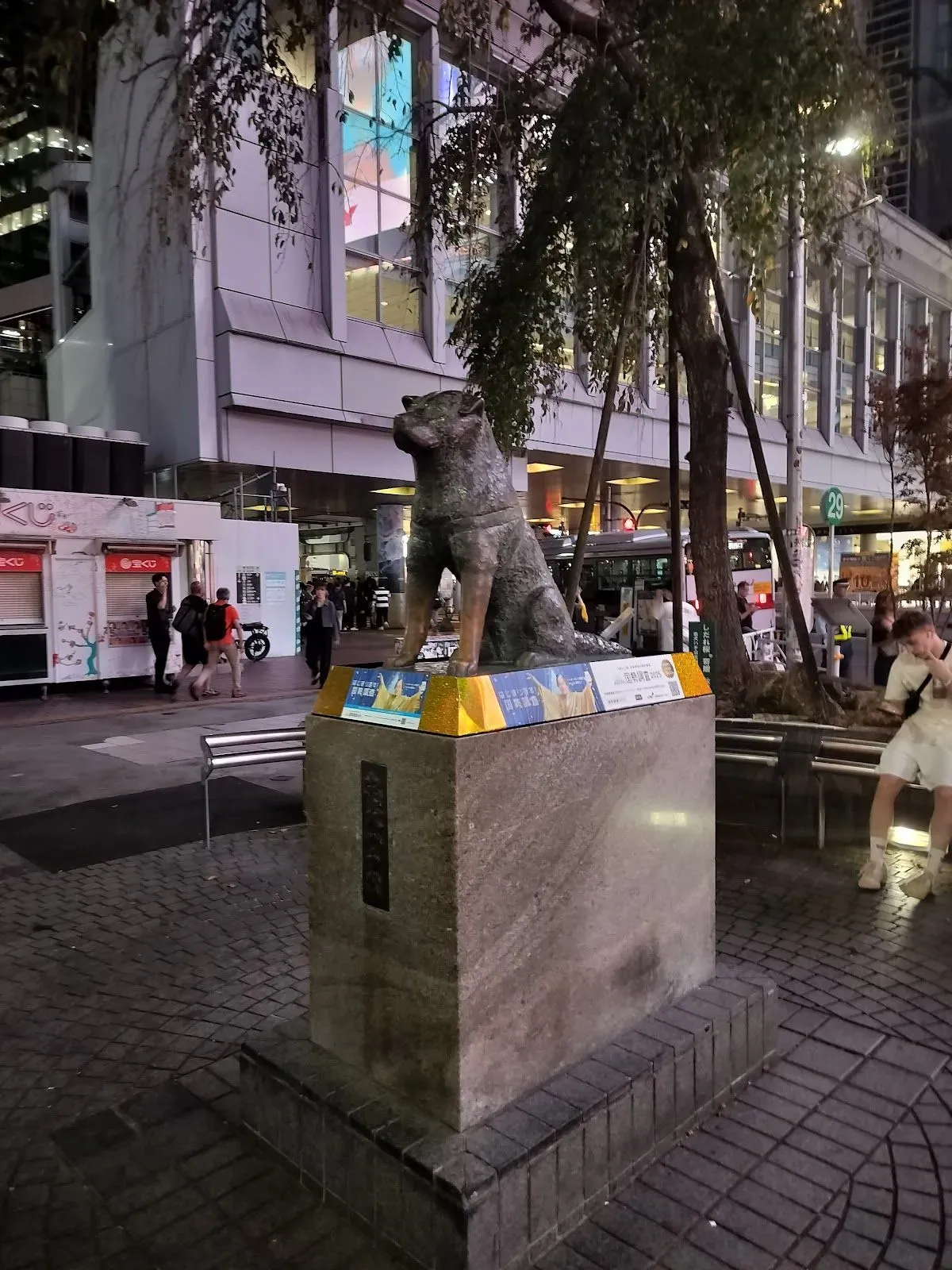 Shibuya Crossing 4